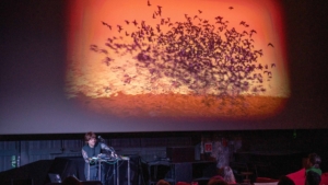 11. Weimarer Poetryfilm-Preis